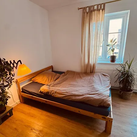 Charmantes Einzimmer-apartment In Zentraler Lage *