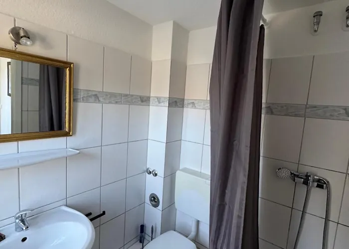 Charmantes Einzimmer-apartment In Zentraler Lage Appartement *