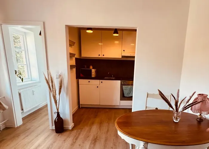 Charmantes Einzimmer-apartment In Zentraler Lage * Flensburg