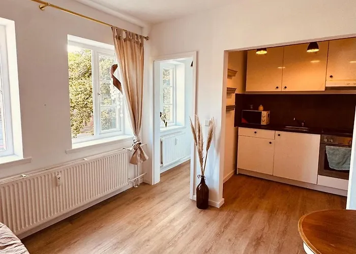 Charmantes Einzimmer-apartment In Zentraler Lage * Flensburg